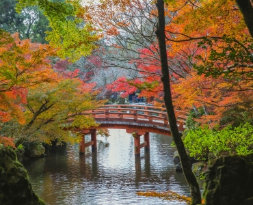 Autunno in Giappone: Momijigari, il foliage